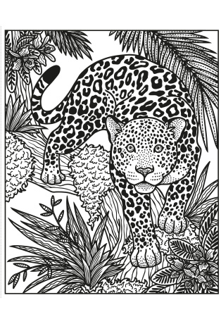 Les animaux sauvages