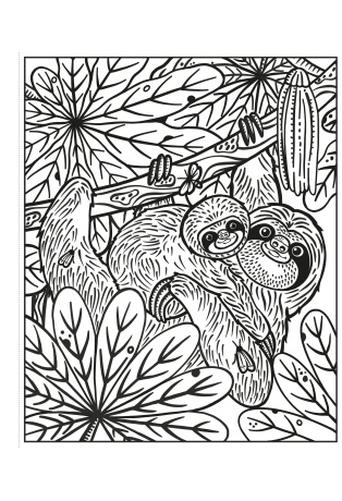 La forêt tropicale