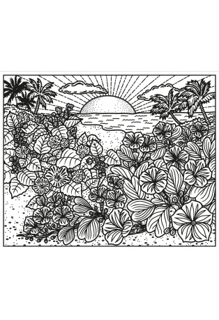 Les fleurs sauvages
