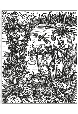 Les fleurs sauvages