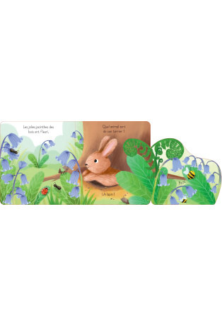 Le lapin
