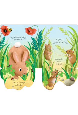 Le lapin