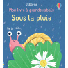 Sous la pluie