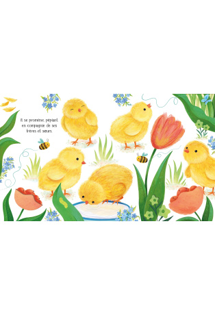 Le poussin