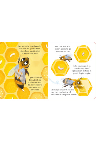 L'abeille