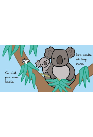 Où est mon koala ?