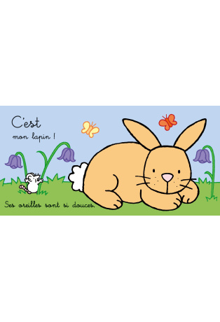 Où est mon lapin ?