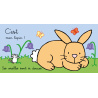Où est mon lapin ?