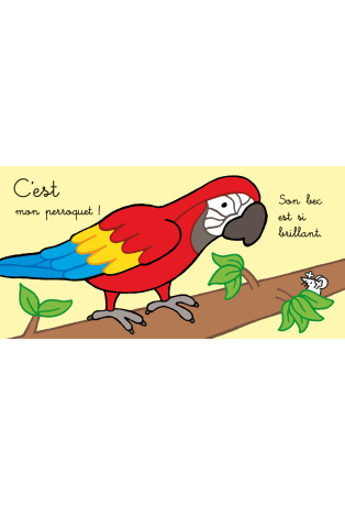 Où est mon perroquet ?