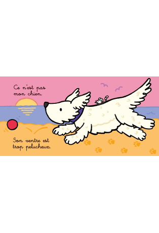 Où est mon chien ?