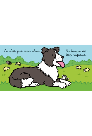 Où est mon chien ?