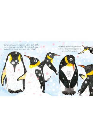 Les nids des oiseaux