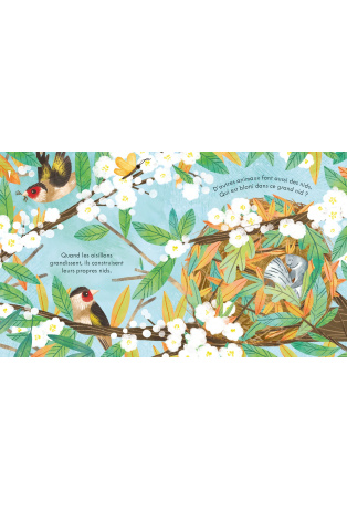 Les nids des oiseaux