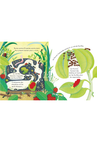 Chez les petites bêtes