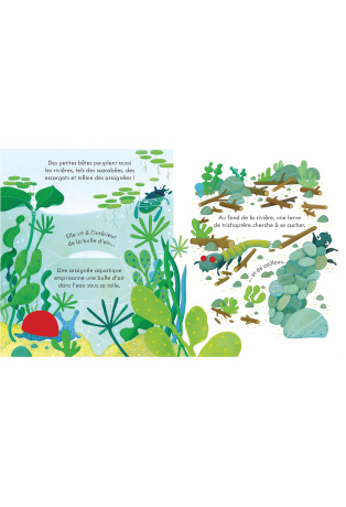 Chez les petites bêtes