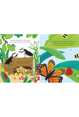 Chez les petites bêtes