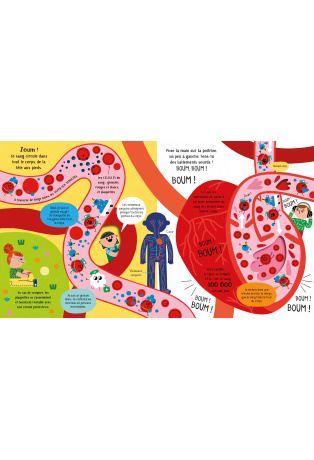 Explore... Le corps humain