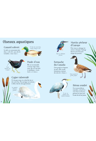 Mon petit guide de la nature
