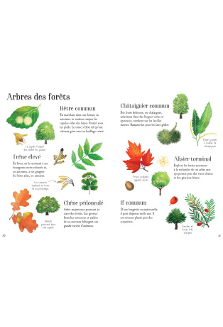 Mon petit guide de la nature