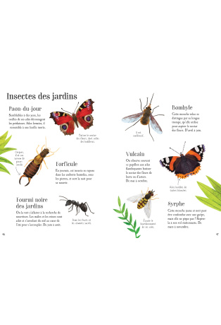 Mon petit guide de la nature