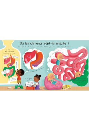 Où va ce que je mange ?