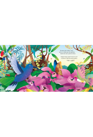 Les oiseaux - Livre Pop-Up