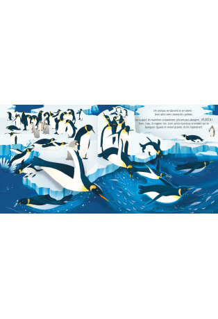 Les oiseaux - Livre Pop-Up