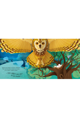 Les oiseaux - Livre Pop-Up