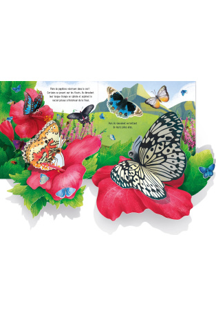 Les papillons - Livre Pop-Up
