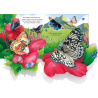 Les papillons - Livre Pop-Up