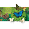 Les papillons - Livre Pop-Up
