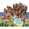 Les papillons - Livre Pop-Up