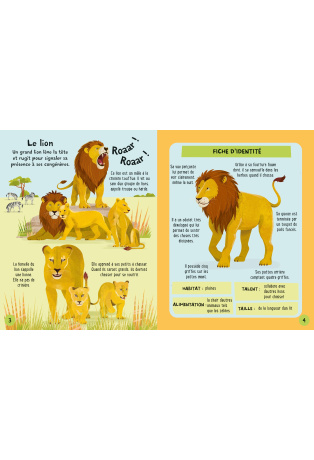 Je construis mes animaux en 3D