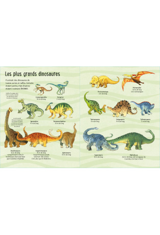 Mon grand livre des dinosaures