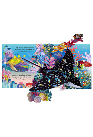 L'océan - Mon livre pop-up