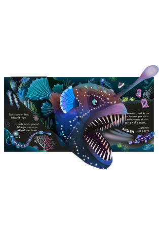 L'océan - Mon livre pop-up