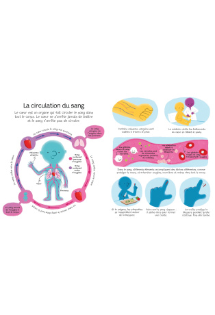 Mon premier livre sur le corps humain