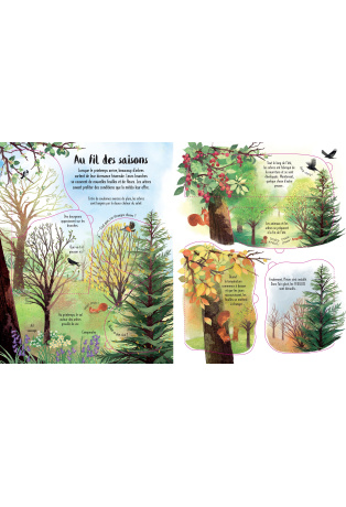 Découvrons ensemble les arbres