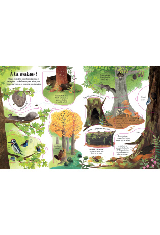 Découvrons ensemble les arbres