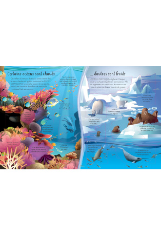 Découvrons ensemble les océans