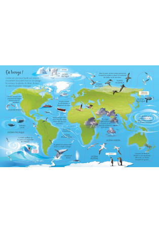 Découvrons ensemble les océans