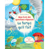Le temps qu'il fait