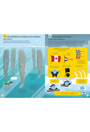 100 infos insolites sur les océans