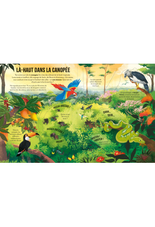 Voyage au coeur de l'Amazonie - Découvrons ensemble