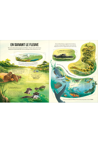 Voyage au coeur de l'Amazonie - Découvrons ensemble