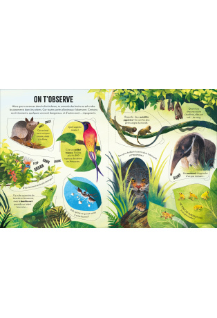 Voyage au coeur de l'Amazonie - Découvrons ensemble