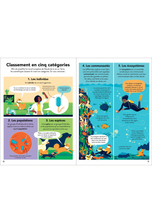 L'écologie pour les débutants