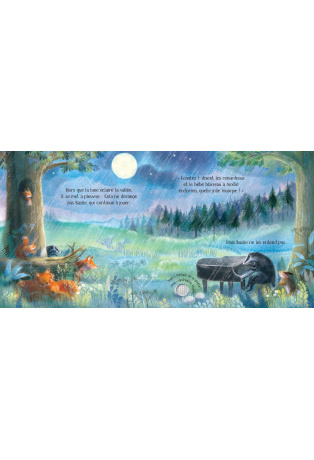 Douce nuit - Cinq mélodies classiques pour s'endormir - Livre sonore