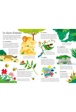 Librairie L’Intranquille Plazza