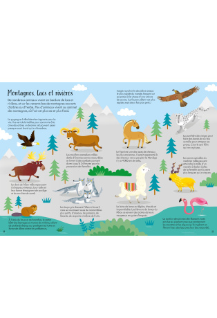 Librairie L’Intranquille Plazza